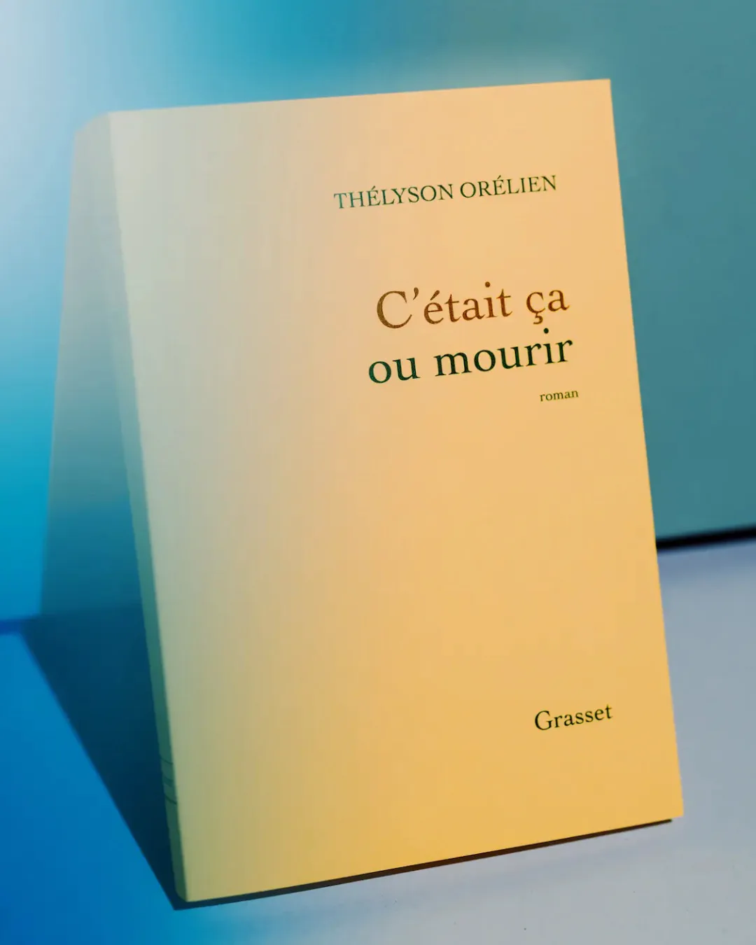 L'affaire Thélyson Orélien